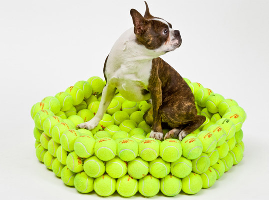 Tennis Ball Dog Bed