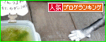 人気ブログランキングへ