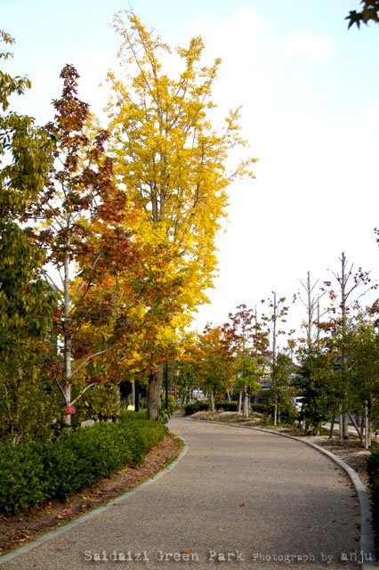ふらり　紅葉の西大寺緑花公園
