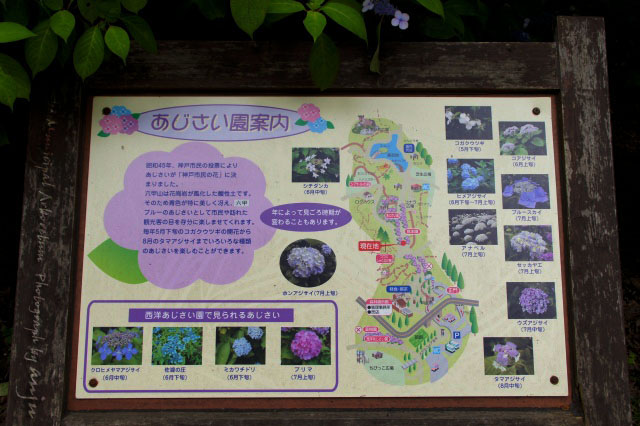 神戸市立森林植物園（こうべしりつしんりんしょくぶつえん）　その3　神戸市北区