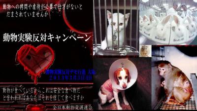 動物実験反対キャンペーン