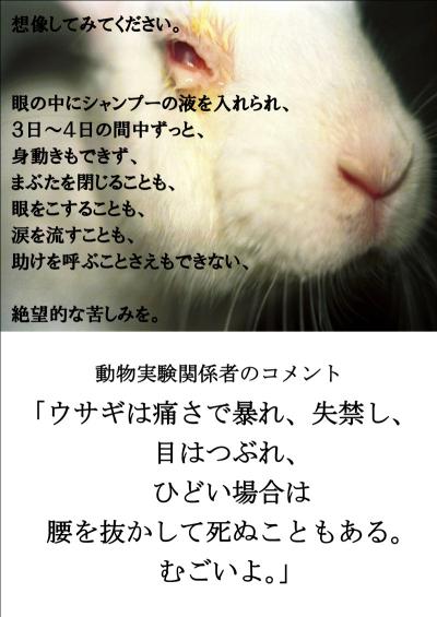 【資生堂の動物実験】緊急!!2月中に声を届けて下さい 02.jpg