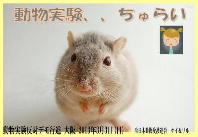 動物実験反対デモ行進 大阪 2013-03-03.jpg