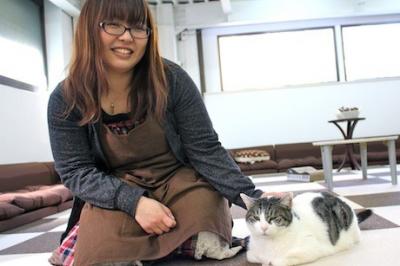 御徒町に里親募集猫カフェ「まちねこ」－保護猫の認知向上目指す
