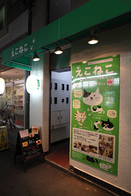 東京都練馬区にある里親募集型猫カフェに行ってきた 17
