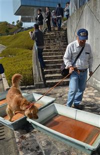 犬と共に避難、飼い主が訓練　神山