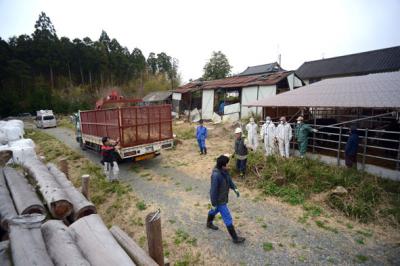 希望の牧場　最後のレスキュー 05
