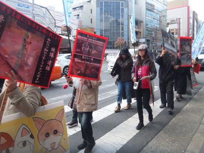 2013-4-21 被災動物達の声を消さない@京都デモ 09