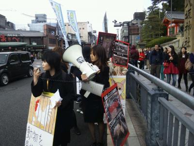 2013-4-21 被災動物達の声を消さない@京都デモ 24