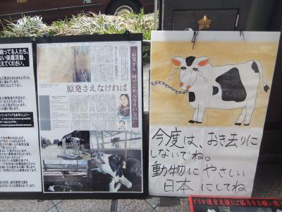 2013-4-21 被災動物達の声を消さない@京都デモ 32