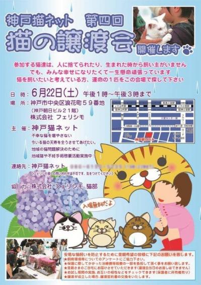 神戸猫ネット第四回・猫の合同譲渡会