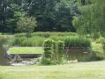 古河総合公園の池にカワセミがいる！