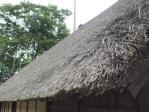 古河総合公園の古民家のわらぶき屋根