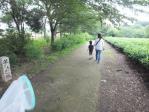 古河総合公園の散歩コース　茶畑の先の「芋ころがし坂」を下ります。