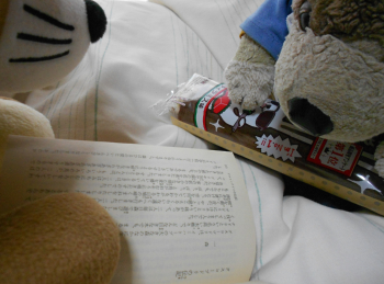 宮澤賢治作品集『セロ弾きのゴーシュ』に収録されている『グスコーブドリの伝記』だよ、マンジ君