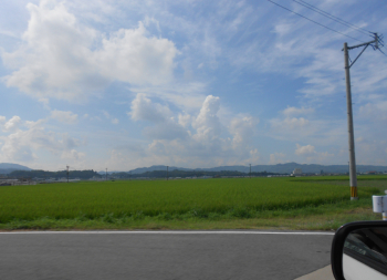 青々とした長閑な田園風景の中を奔る国道４４３号線を柳川方面へ