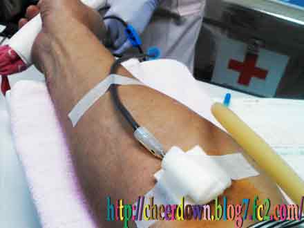 献血2013