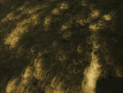 金環日食 034