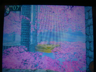 世界樹の迷宮２　第四層１９Ｆ