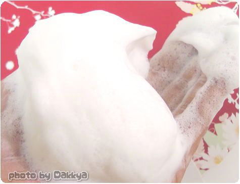 京都二条の自然派化粧品『京乃雪』500円サンプルモニター