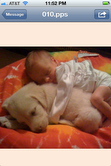 dog slept with a baby