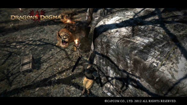 Dragons Dogma Screen Shot _1[1]