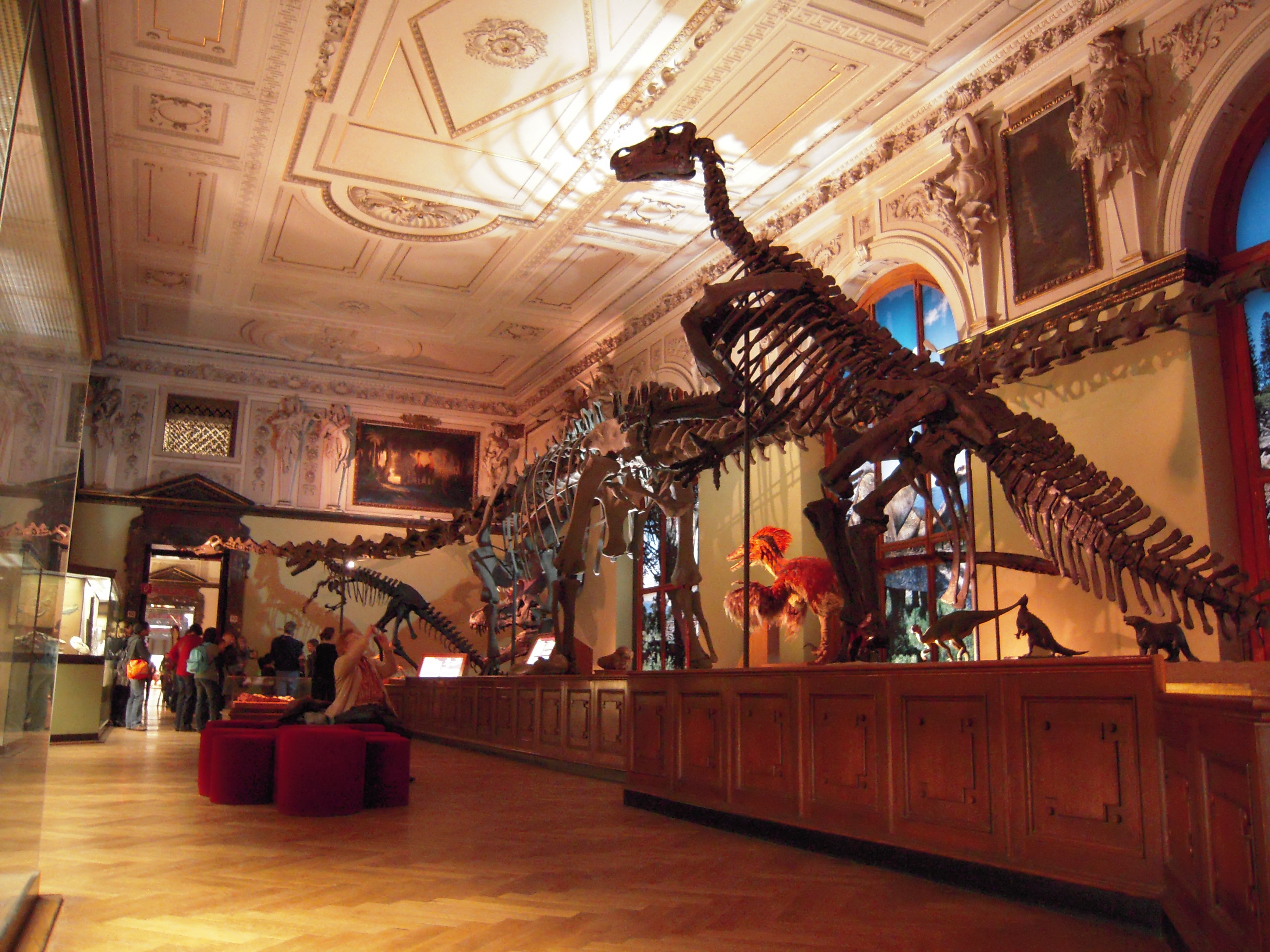 Какие музеи нужны сегодня. Национальный музей естественных наук в Мадриде. Эрмитаж зал динозавров. Музей естествознания в Вене. Музей естественной истории Мадрид.