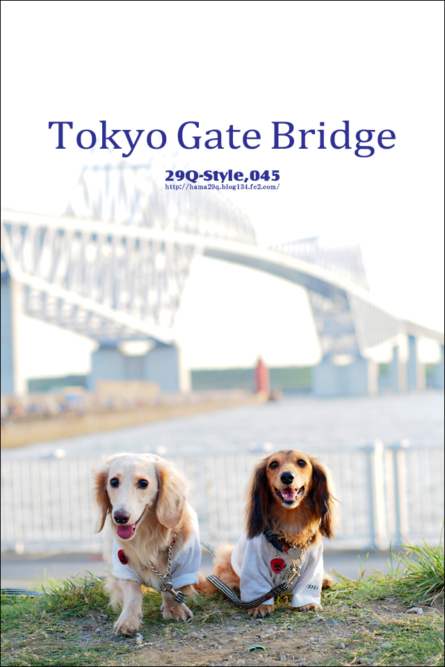 東京ゲートブリッジ：くり姉・大福