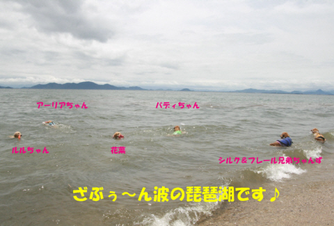 480琵琶湖１加工