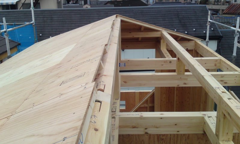20110108屋根