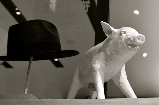 白い豚と黒い帽子