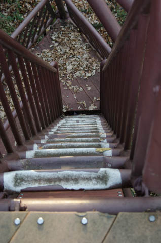 南大沢の公園の展望台の階段