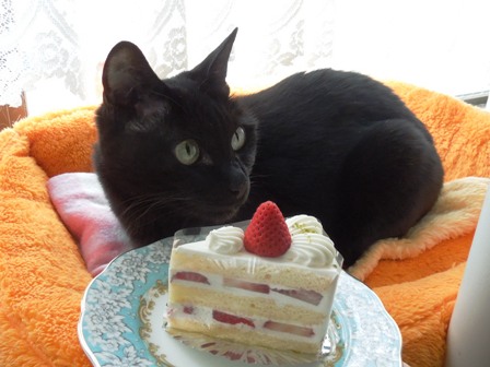 ケーキ、美味しいですか？