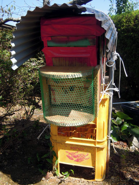 ニホンミツバチの巣箱　網を張る
