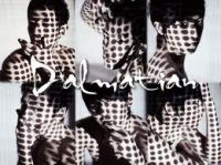 dalmatian 1st Mini Album