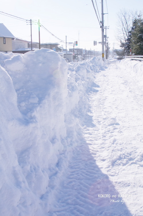 歩道の除雪