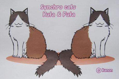 Synchro cats