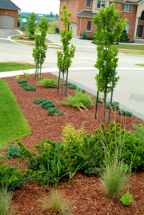 Driveway Landscaping Pictures Landscaping around the ...