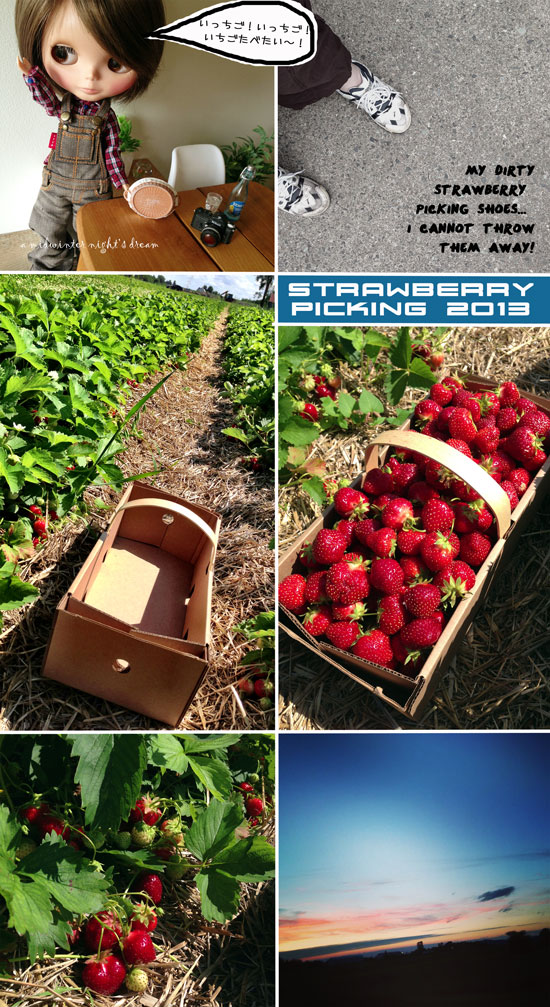 strawberry picking 2013