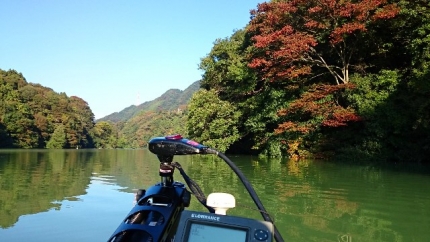 20141025-6-津久井湖前日プラ紅葉.JPG