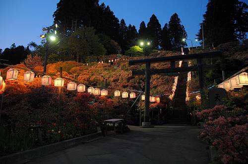 temno shrine with azalea blossoms, shichinohe, aomori, 240518 2-21-s