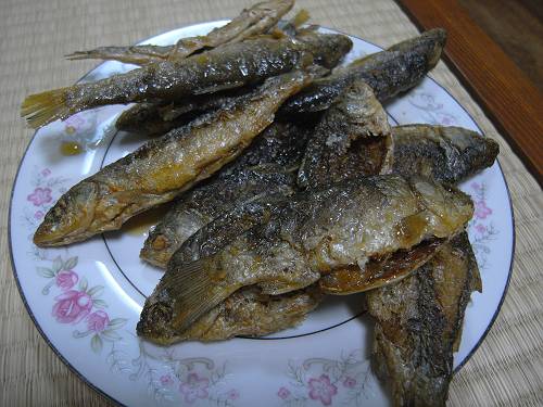 deep fried lake ogawaga fishes dish, 240518 1-2-s