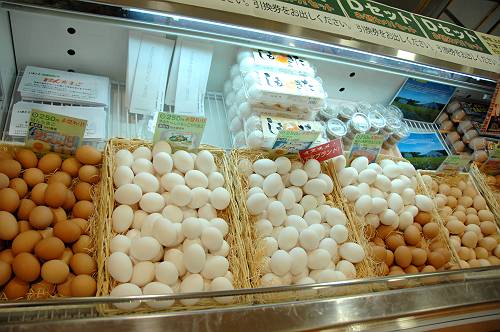 aomori fresh raw eggs put on the rice,  240630 1-8-s