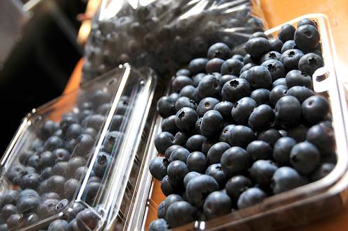 blue berry prodcted in rokkasho-mura,  240815 1-7-p-s
