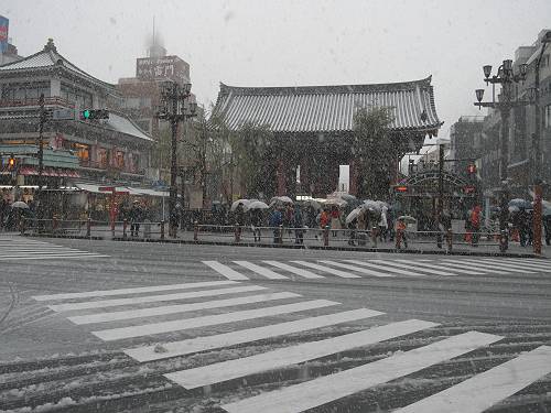 tokyo snow street view at kaminarimon-gate, 250114 1-2_s