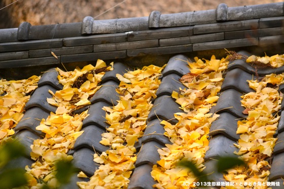 秋の瓦屋根