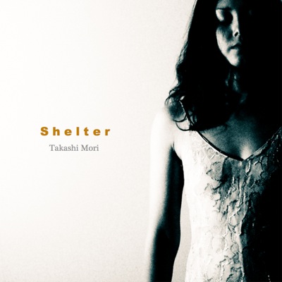 th_shelter-3.jpg