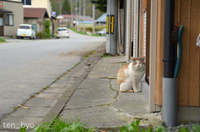 120505tono116.jpg