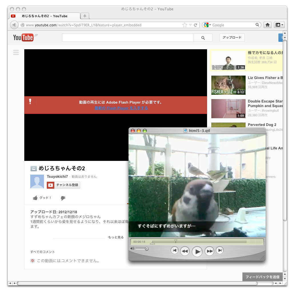 QuickTimeで再生