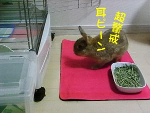 20121216-025.jpg
